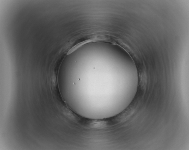 X0000111890617200907301159