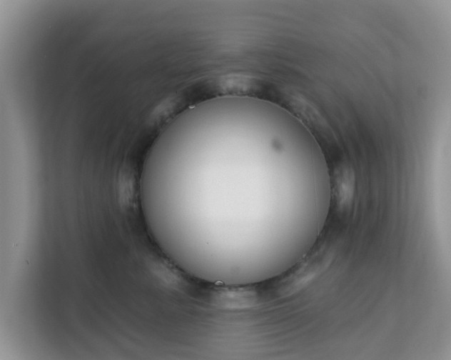 X0000111890619200907301159