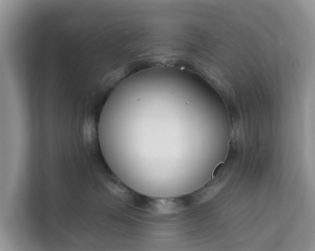 X0000111890623200907301159