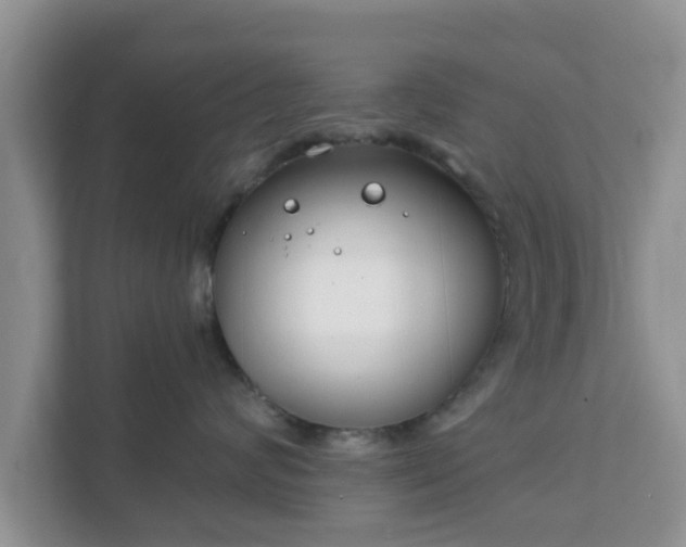 X0000111890624200907301159