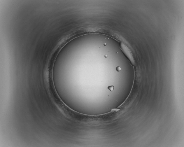 X0000111890626200907301158