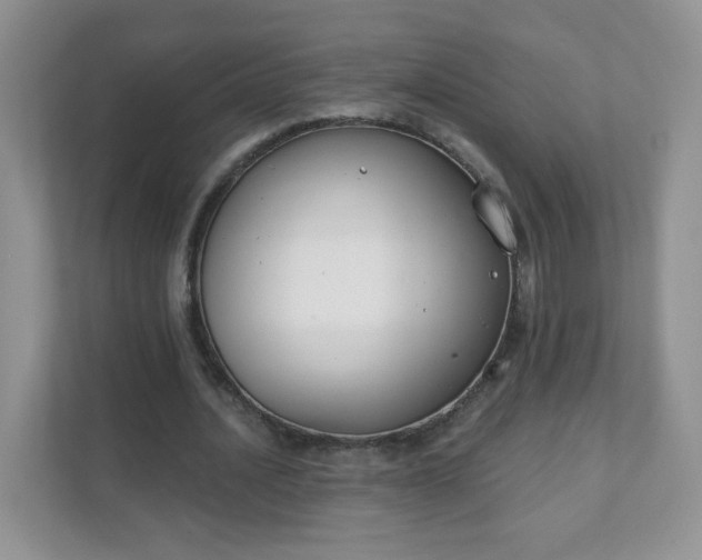 X0000111890628200907301158