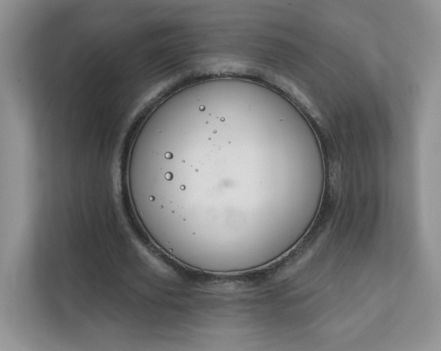 X0000111890629200907301158