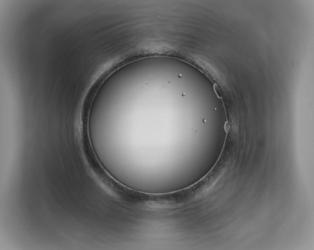 X0000111890630200907301158