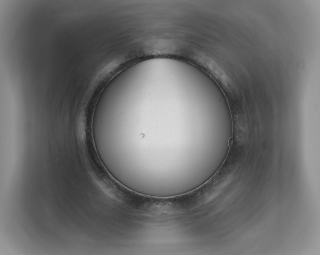 X0000111890631200907301158