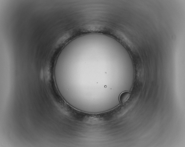 X0000111890635200907301158