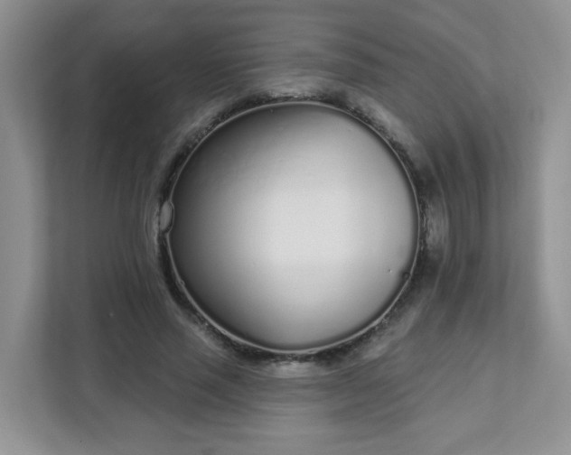 X0000111890637200907301158