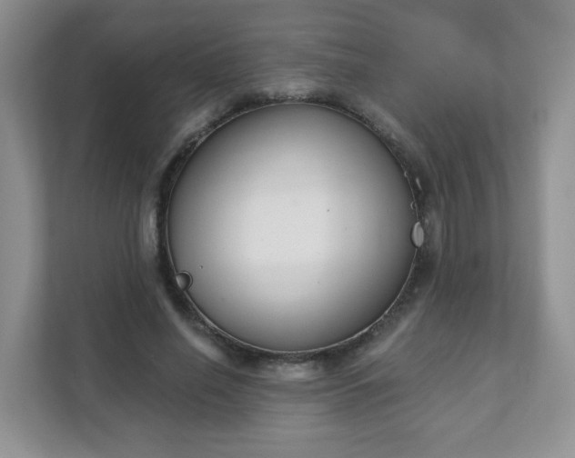 X0000111890638200907301158