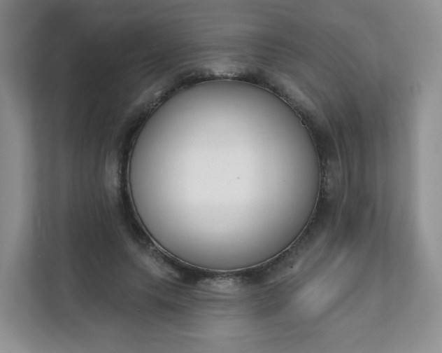 X0000111890639200907301158