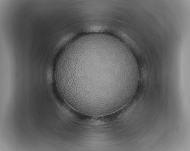 X0000111890640200907301158