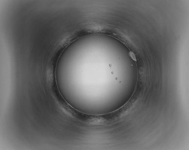 X0000111890642200907301158