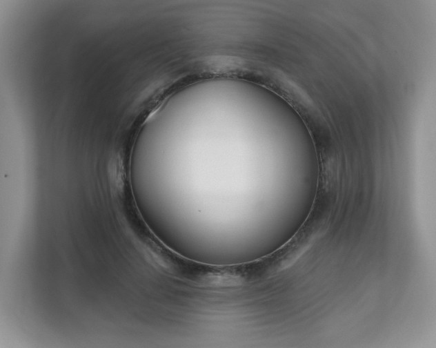 X0000111890644200907301158