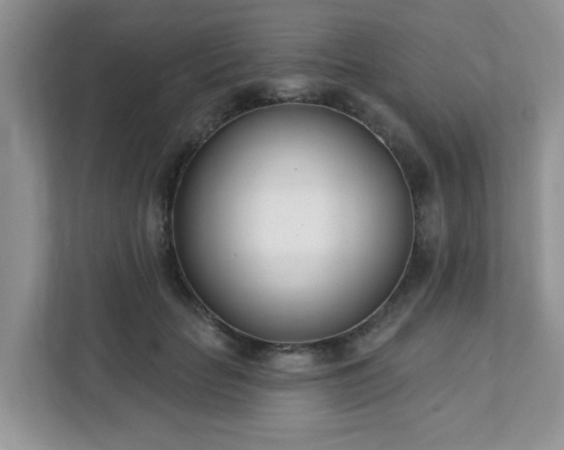 X0000111890653200907301158