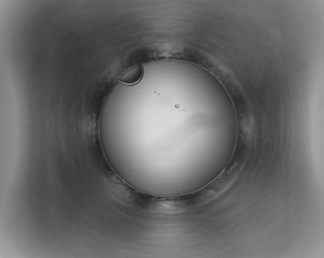 X0000111890657200907301158