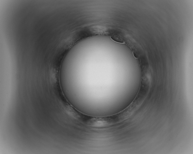 X0000111890658200907301158