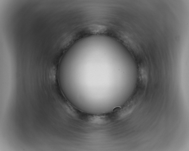 X0000111890664200907301158