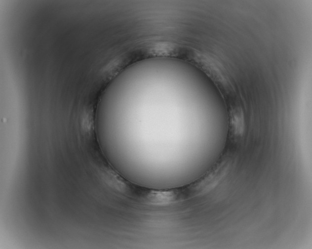 X0000111890665200907301158