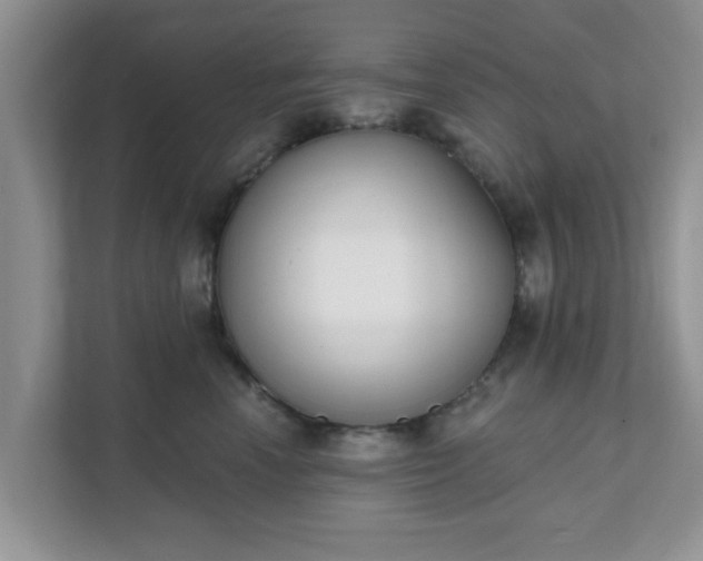 X0000111890666200907301158