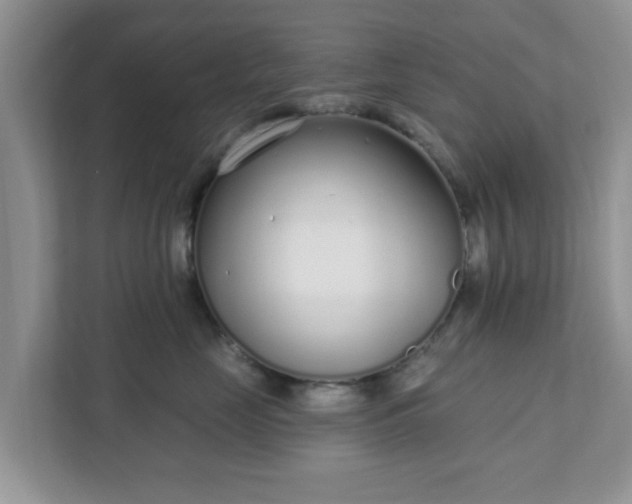 X0000111890669200907301158