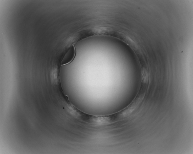 X0000111890670200907301158