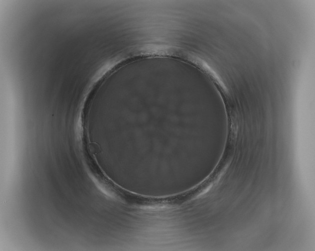 X0000111890674200907301158