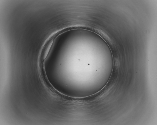 X0000111890676200907301158