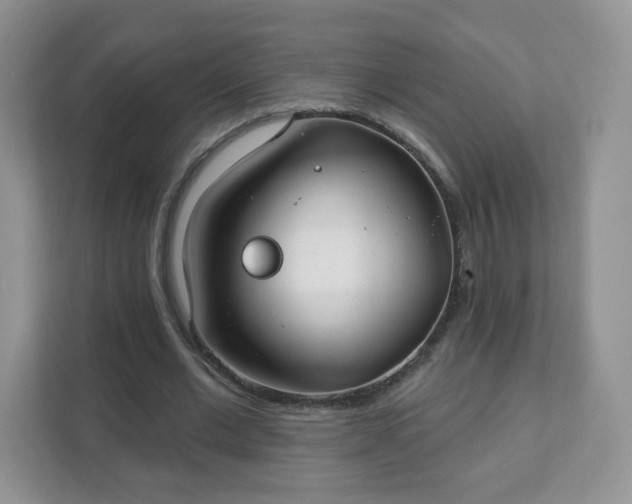 X0000111890677200907301158