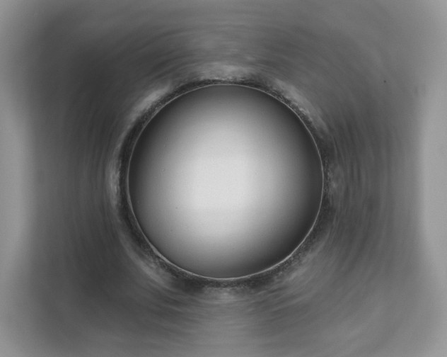 X0000111890679200907301158