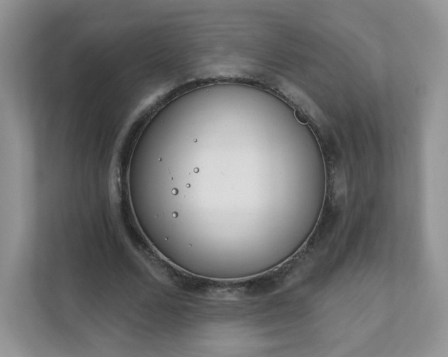 X0000111890680200907301158