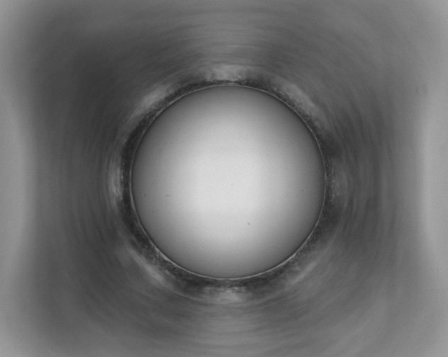 X0000111890683200907301158