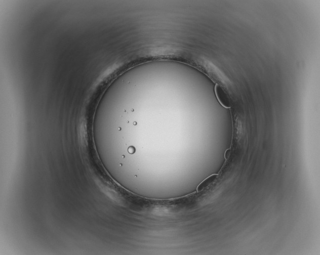 X0000111890684200907301158