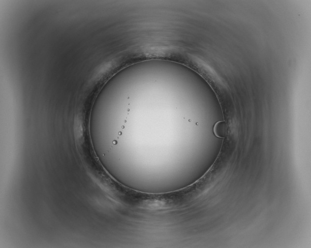 X0000111890687200907301158