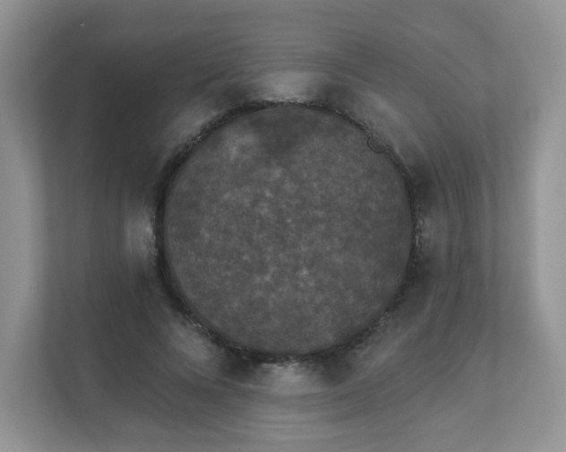 X0000111890688200907301158