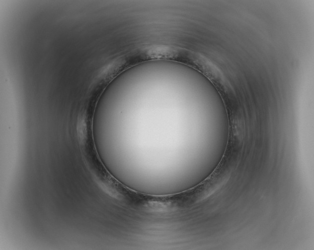 X0000111890690200907301158