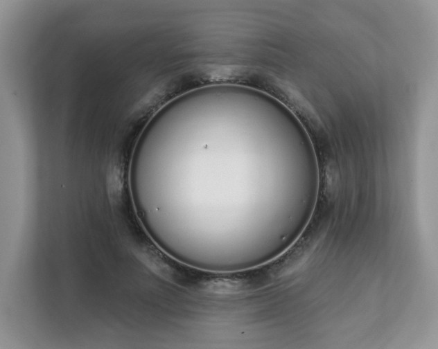 X0000111890691200907301158