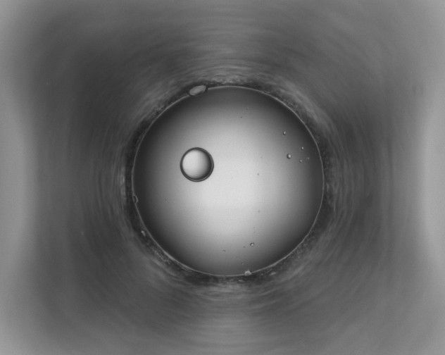 X0000111890696200907301158