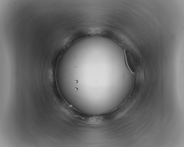 X0000111890700200907301158