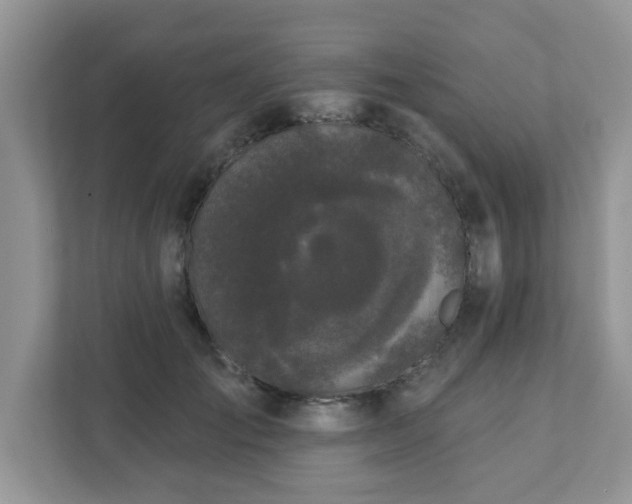 X0000111890701200907301158