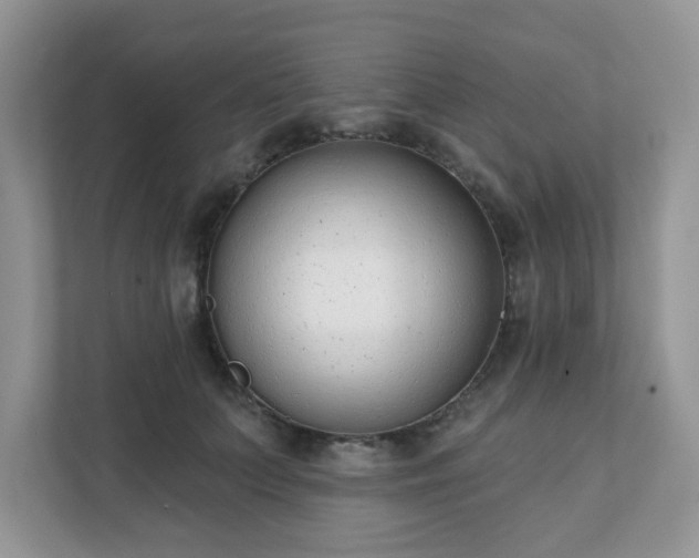 X0000111890703200907301158