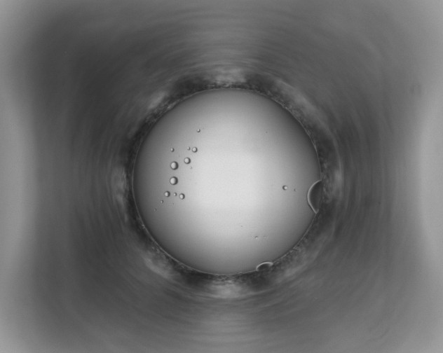 X0000111890704200907301157