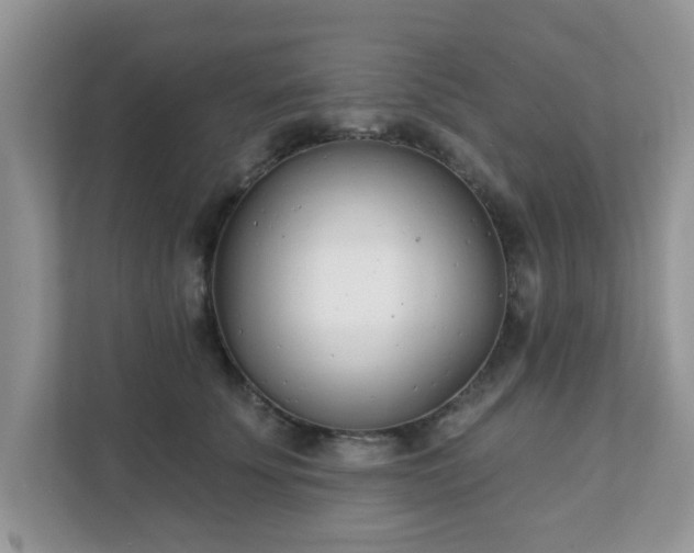 X0000111890707200907301157