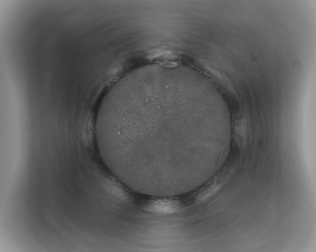 X0000111890708200907301157