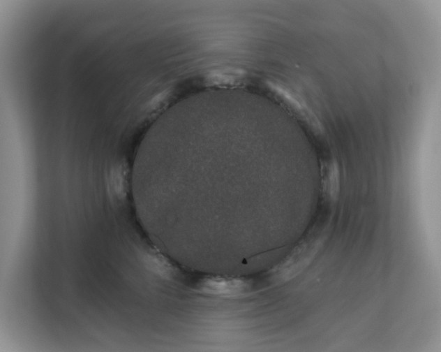 X0000111890712200907301157