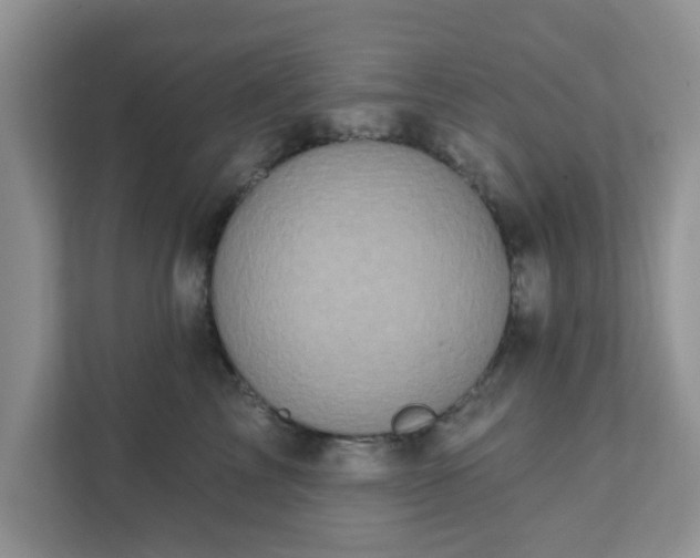 X0000111890713200907301157