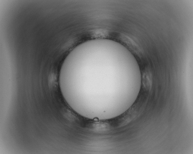 X0000111890714200907301157