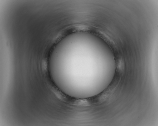 X0000111890715200907301157