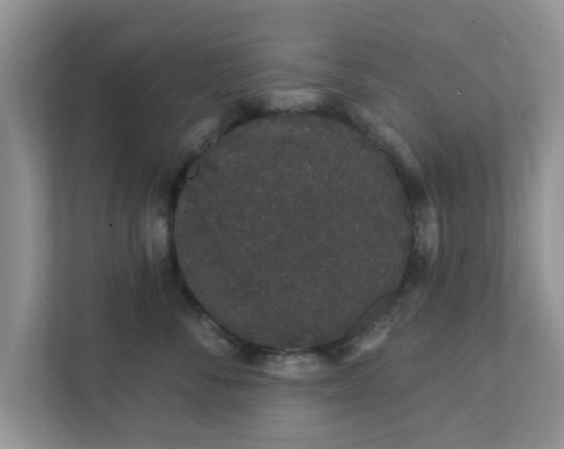 X0000111890716200907301157