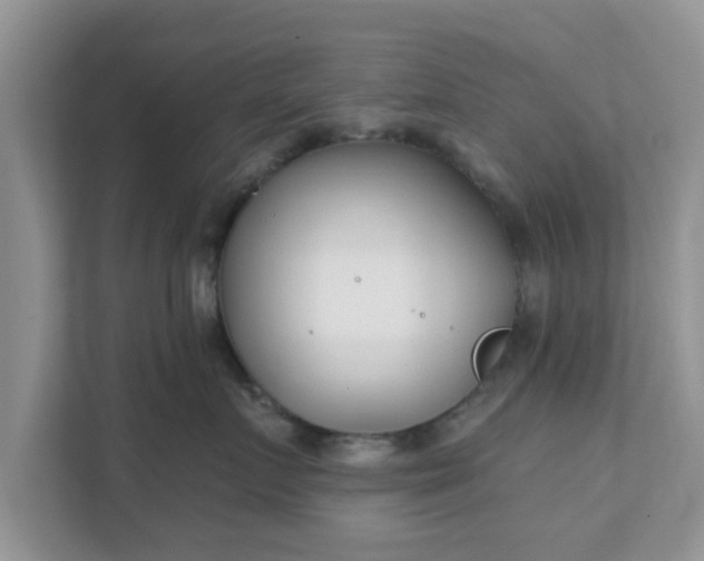 X0000111890719200907301157