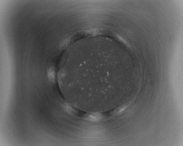 X0000111890720200907301157