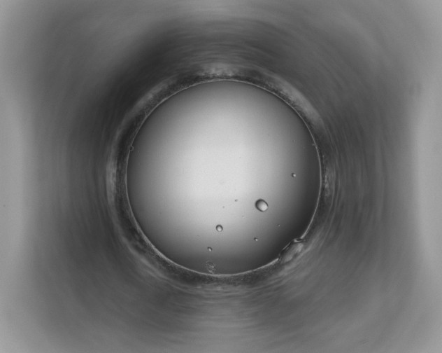 X0000111890722200907301157